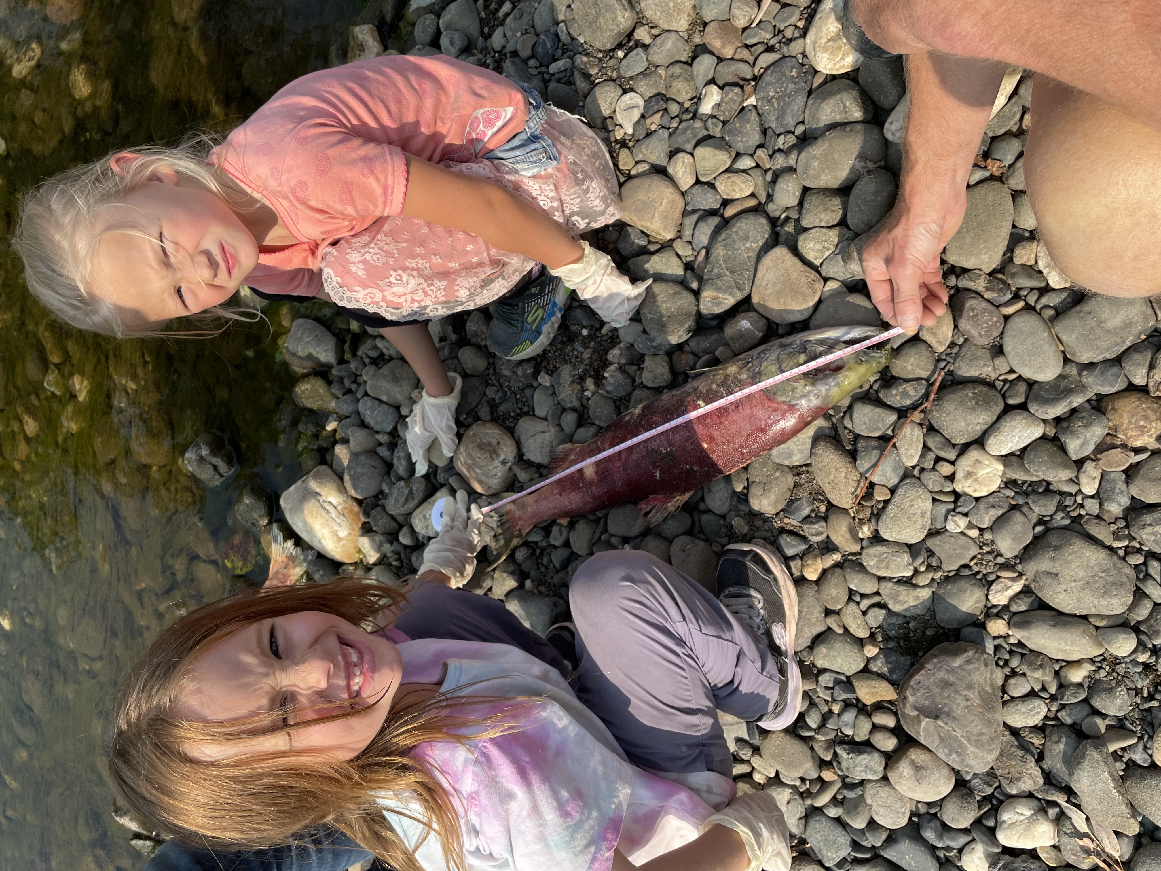 Learning about salmon1 Calvin Williams